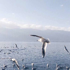 军人XXXⅩ做受军人Gay漫画
